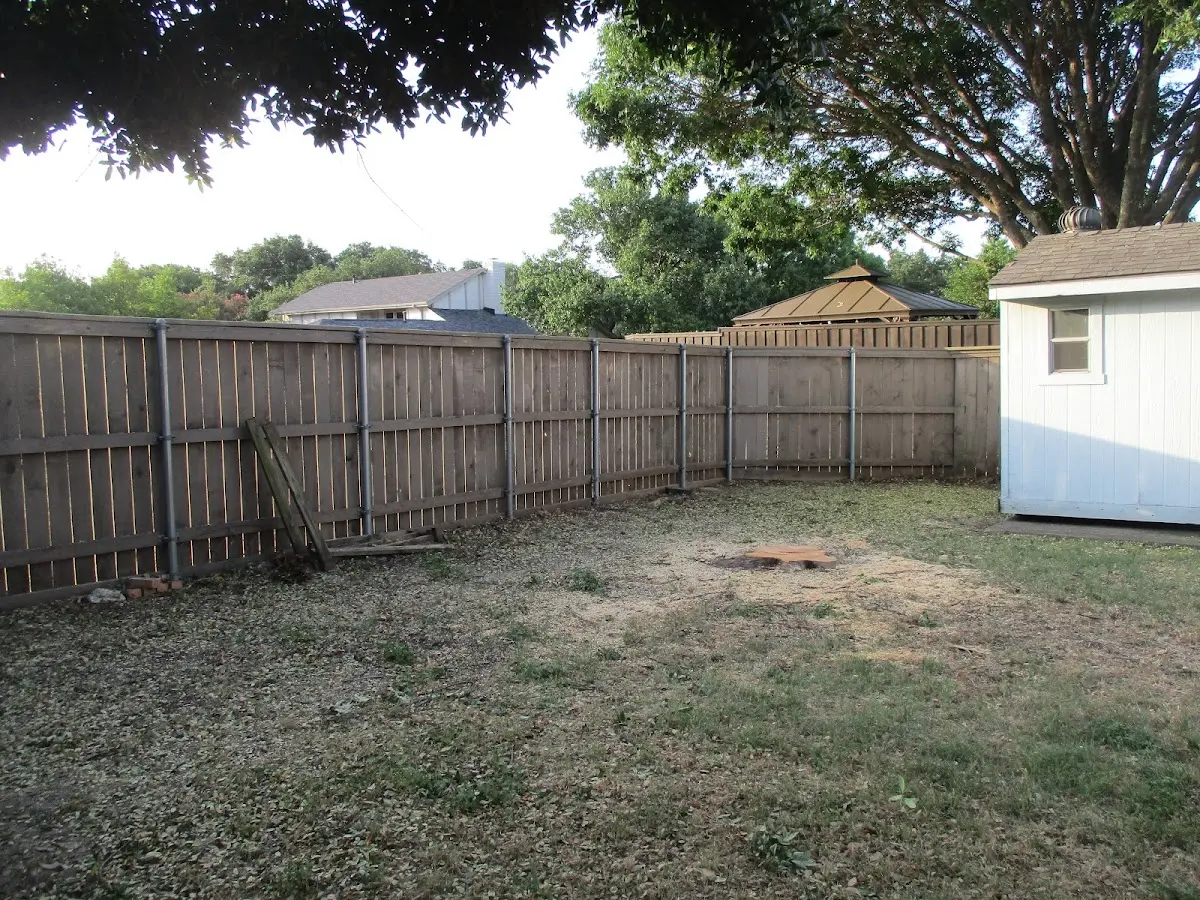 Cleared yard after professional tree removal in Kaycee