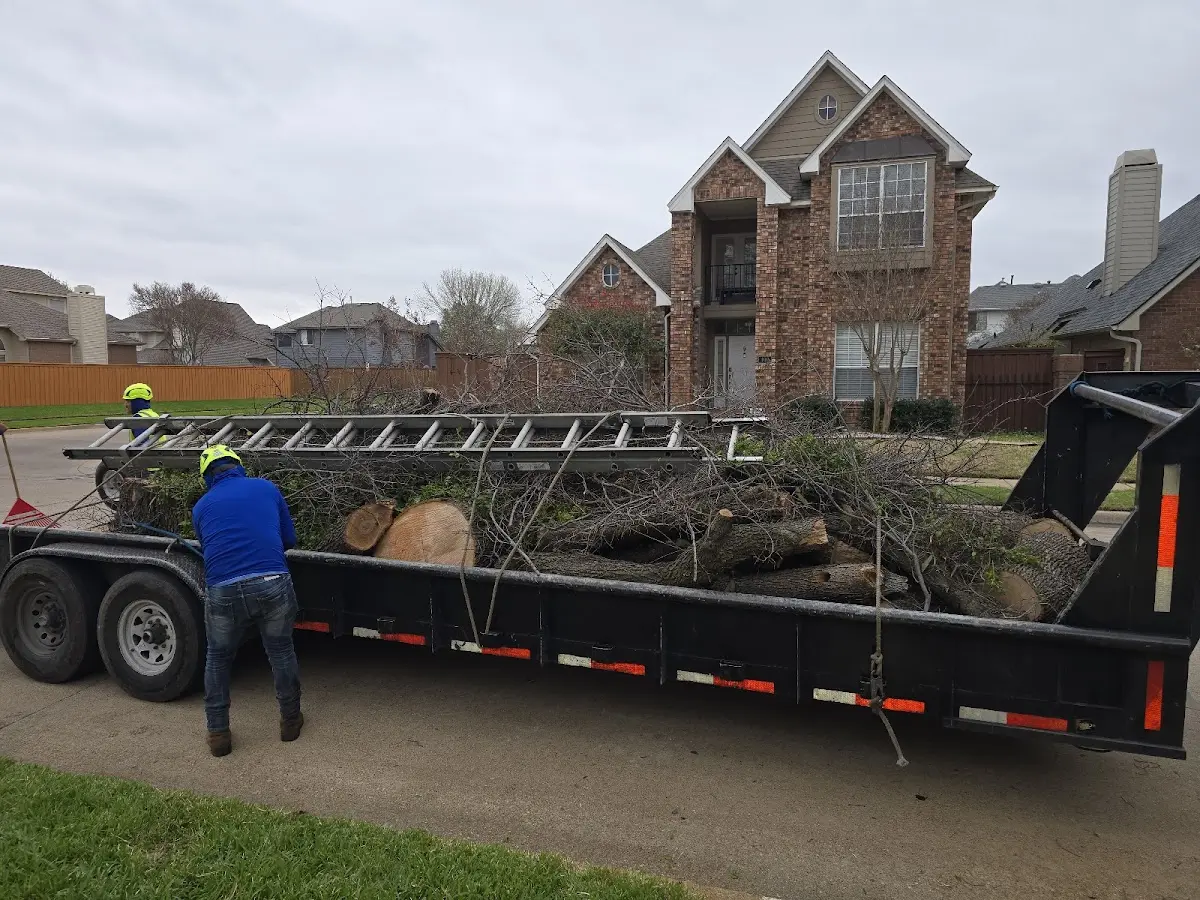 Expert Tree Removal with proper safety equipment in Kaycee